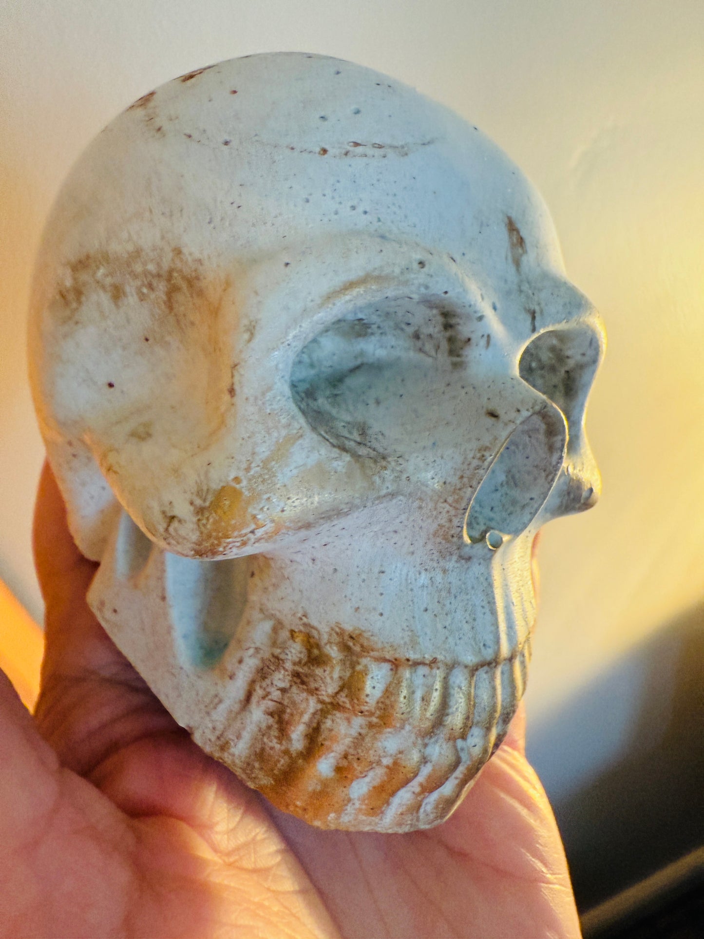 The Skull Pot & Ornament Shoppe ☠️