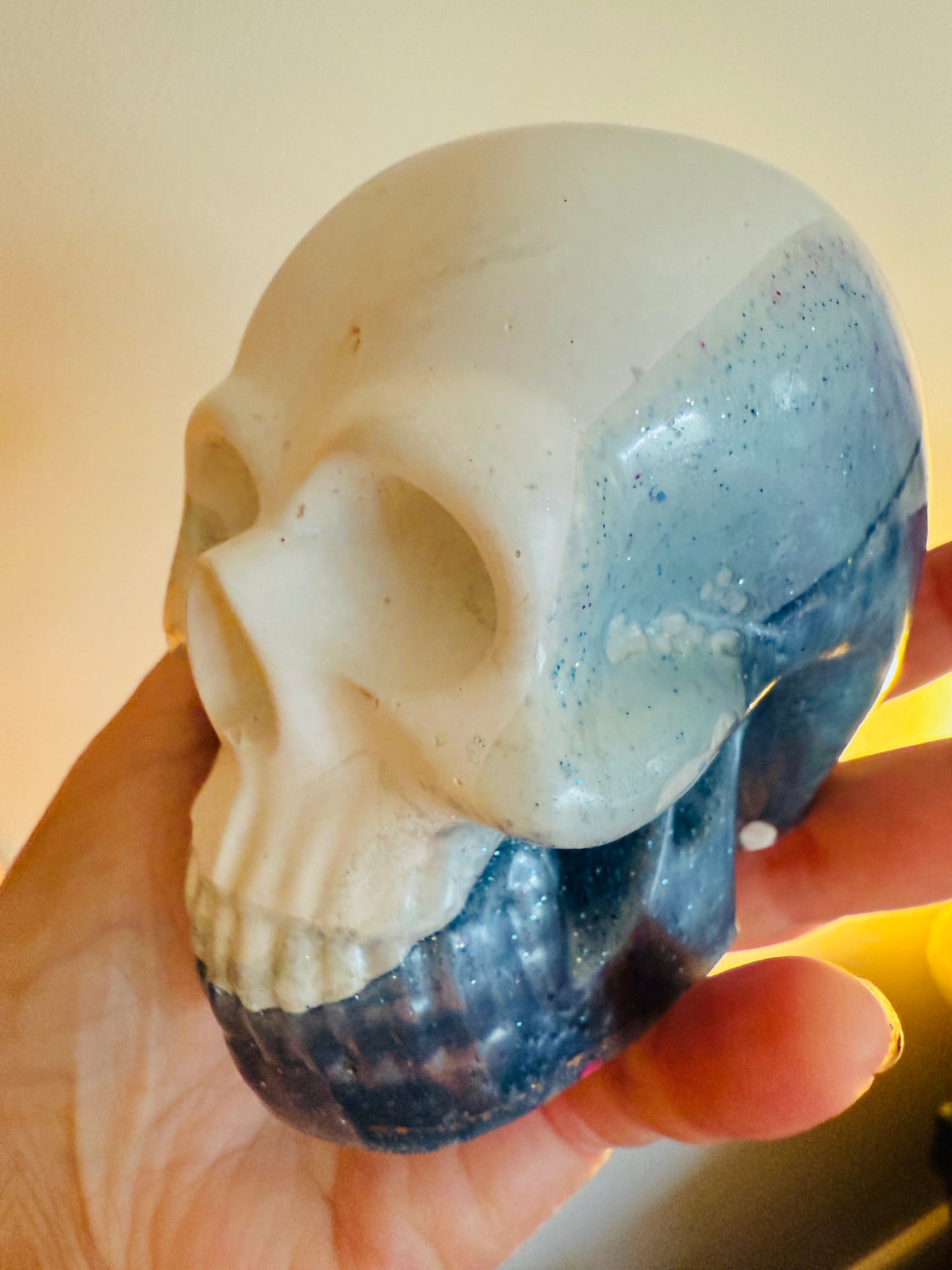 The Skull Pot & Ornament Shoppe ☠️
