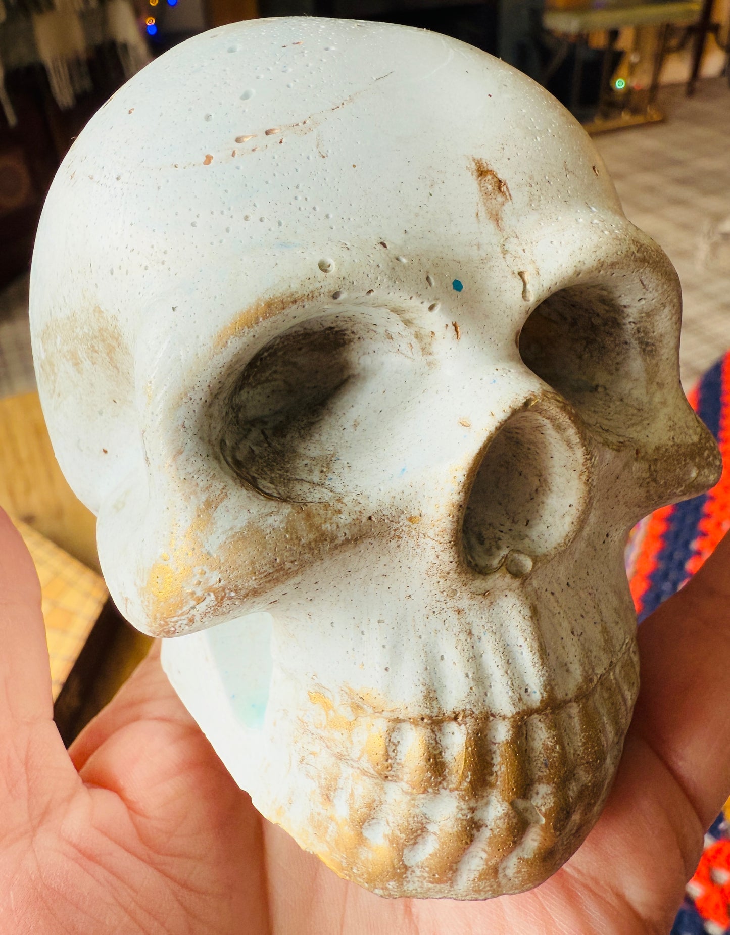 The Skull Pot & Ornament Shoppe ☠️