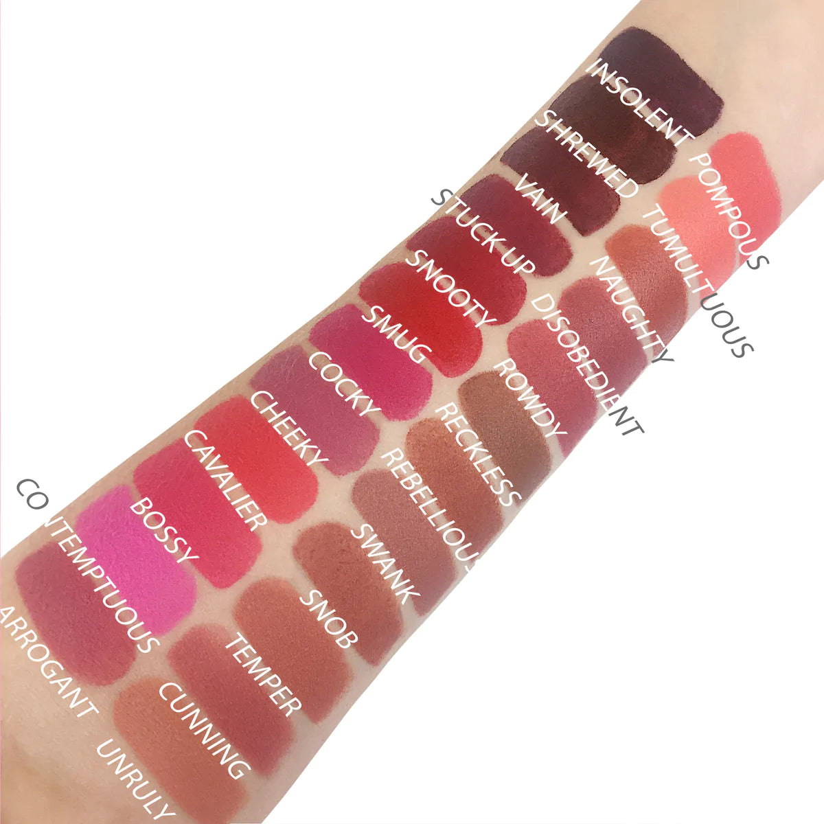 Rude Attitude Matte Lipstick 💋